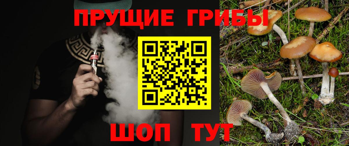 Гулькевичи  Псилоцибиновые грибы мухоморы  закладка  Вход с VPN 