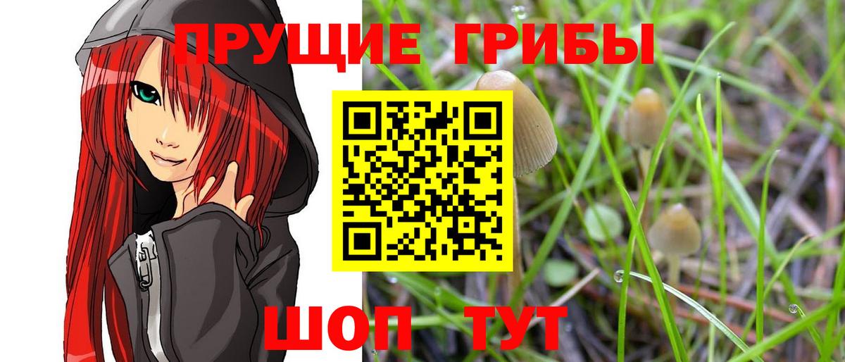 Псилоцибиновые грибы мухоморы Гулькевичи